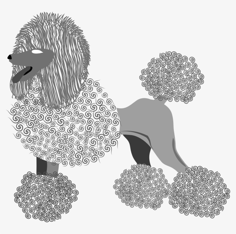 This Png File Is About Vector , French Poodle , Breed - Poodle, transparent png #8784634