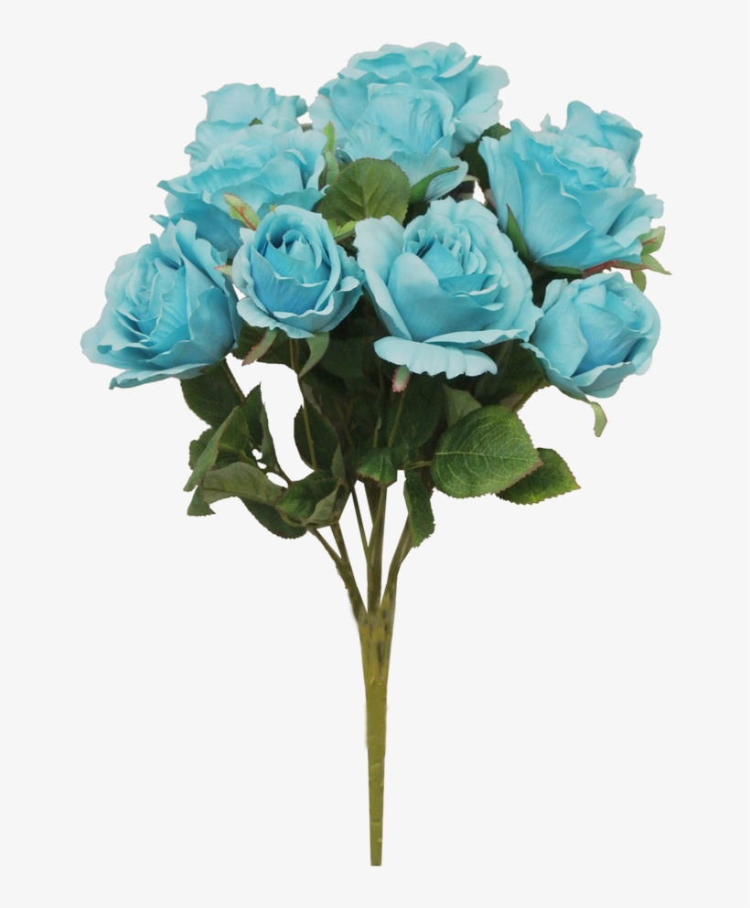 Garden Roses, transparent png #8784704