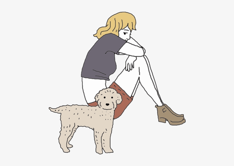 Miniature Poodle Dream Meaning - Dog Catches Something, transparent png #8784792