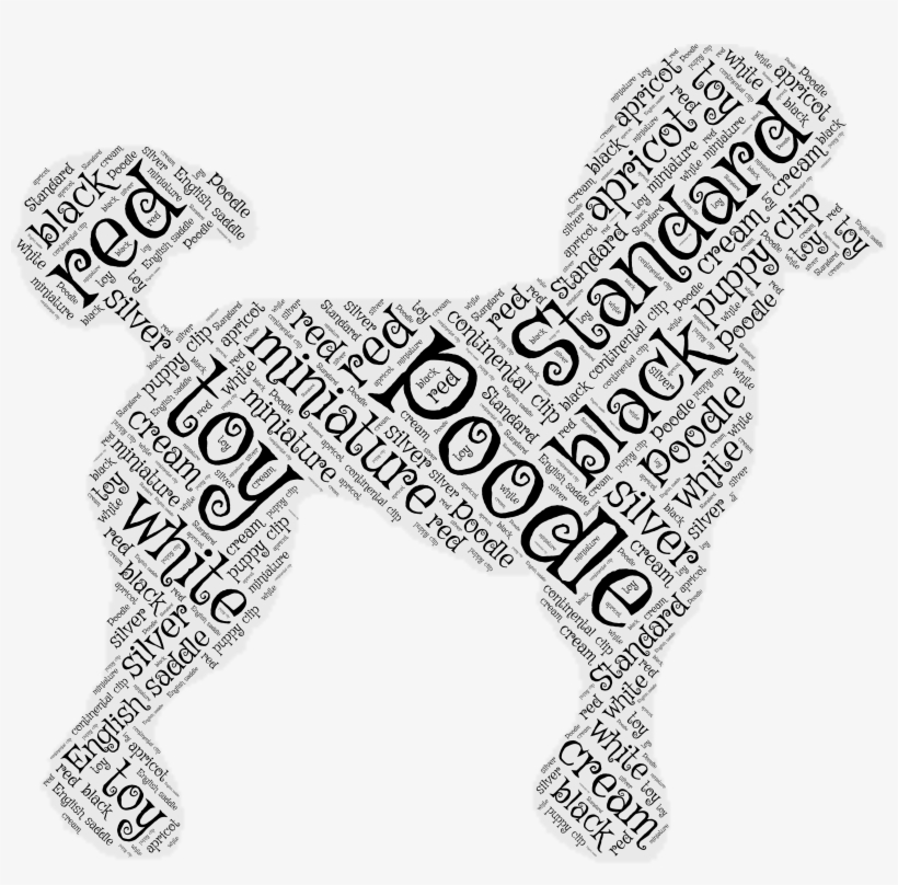 Gift For Lover, Poodles, Poodle, Toy Poodles - Companion Dog, transparent png #8785307