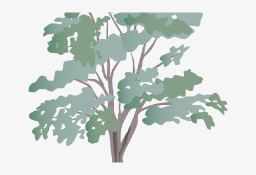 Eucalyptus Clipart Transparent - Eucalyptus Tree Symbol, transparent png #8785409