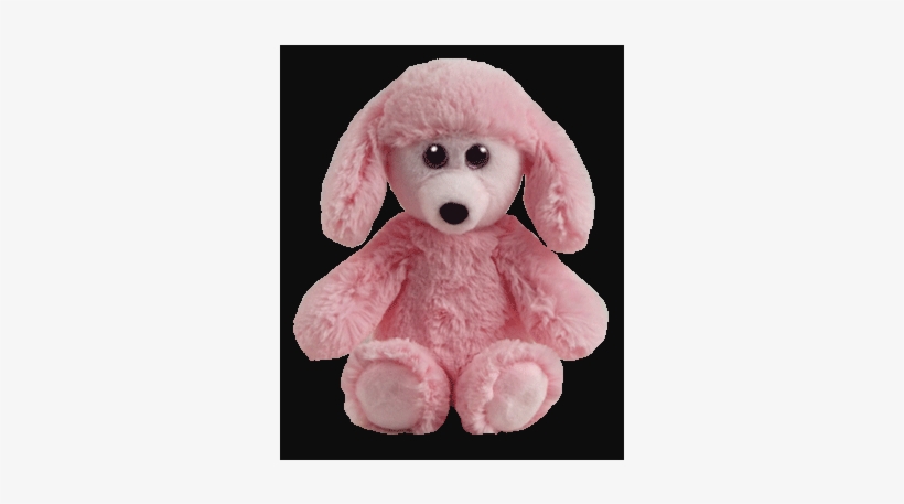 Toy Poodle, transparent png #8785453