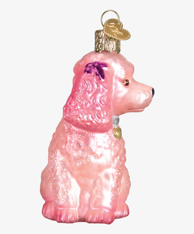Side View - Companion Dog, transparent png #8785555