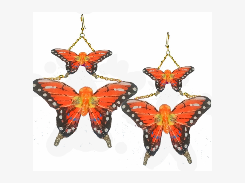 Butterfly Earrings Orange Swallowtail - Earrings, transparent png #8786984
