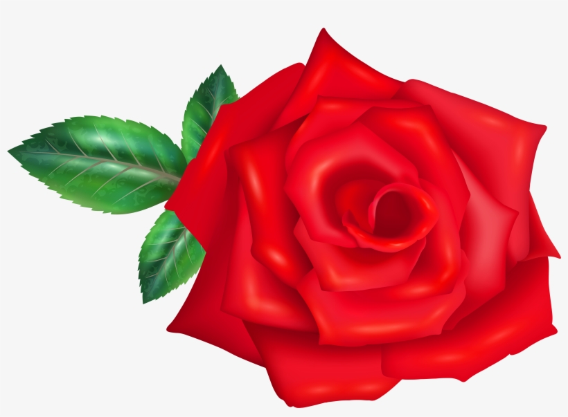 Floribunda, transparent png #8787194