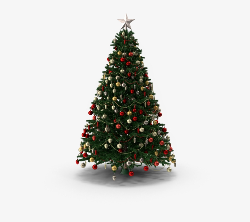 Christmas Tree, transparent png #8787867