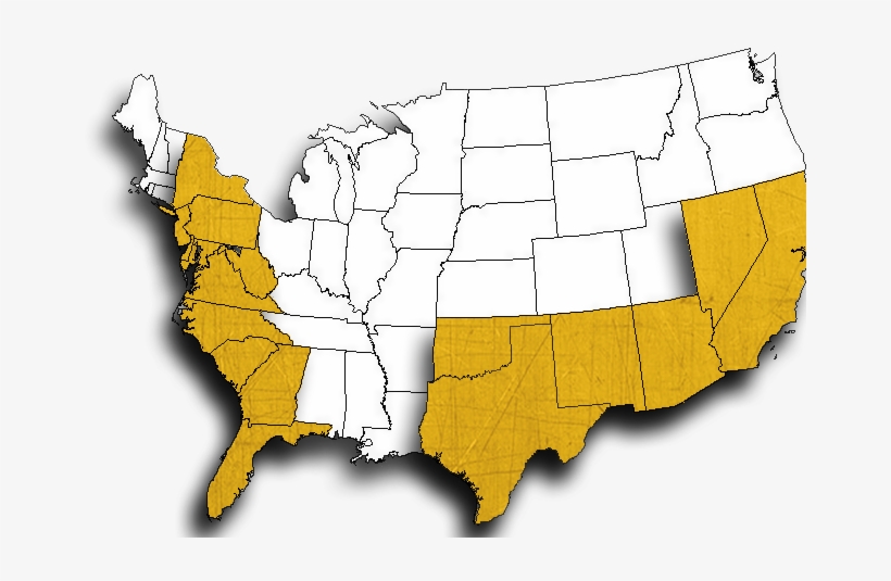 Click Here To See More Information About Black Widow - Atlas, transparent png #8788252