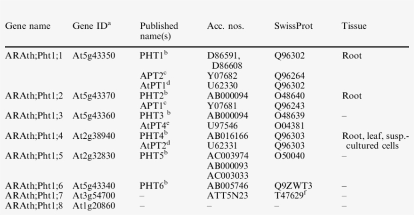 List Of Members Of Arabidopsis Thaliana Pi Trans- Porter/translocator - Number, transparent png #8788857
