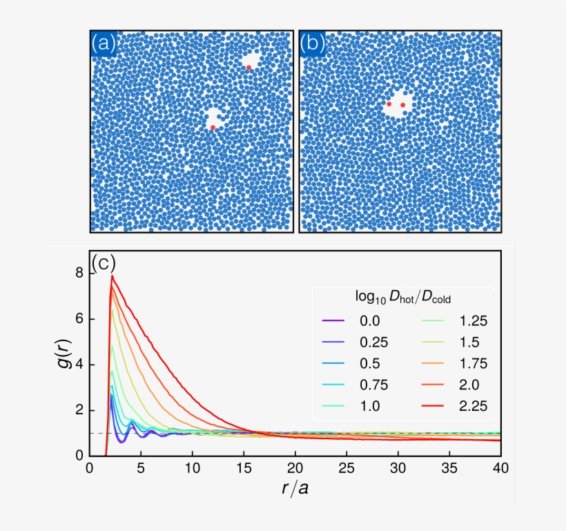 Snapshots From A Simulation With Log10dhot/dcold=2 - Diagram, transparent png #8789491