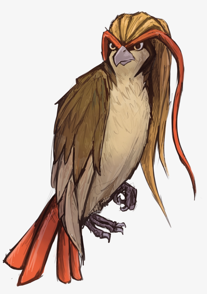 Pidgeot - Cockatiel, transparent png #8790309