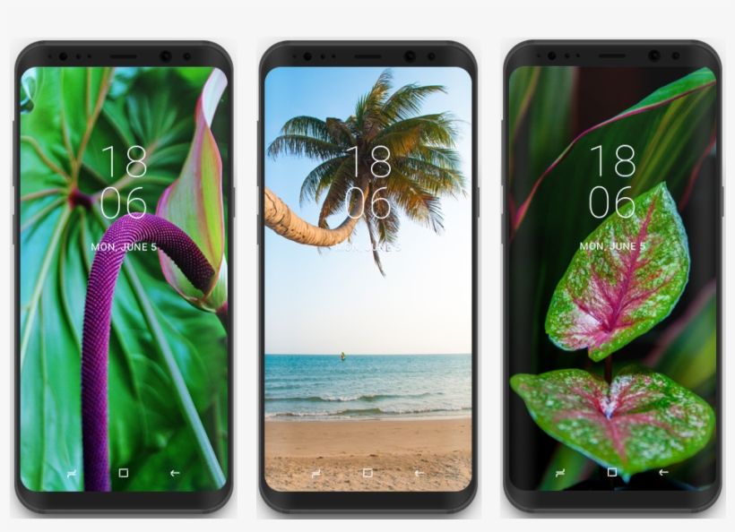 Wallpapers For Samsung Galaxy S8 Wallpaper Free Transparent Png Download Pngkey