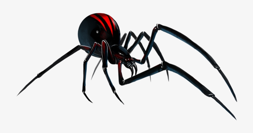 Black Widow Spider Png File - Black Widow Spider Artwork, transparent png #8791787