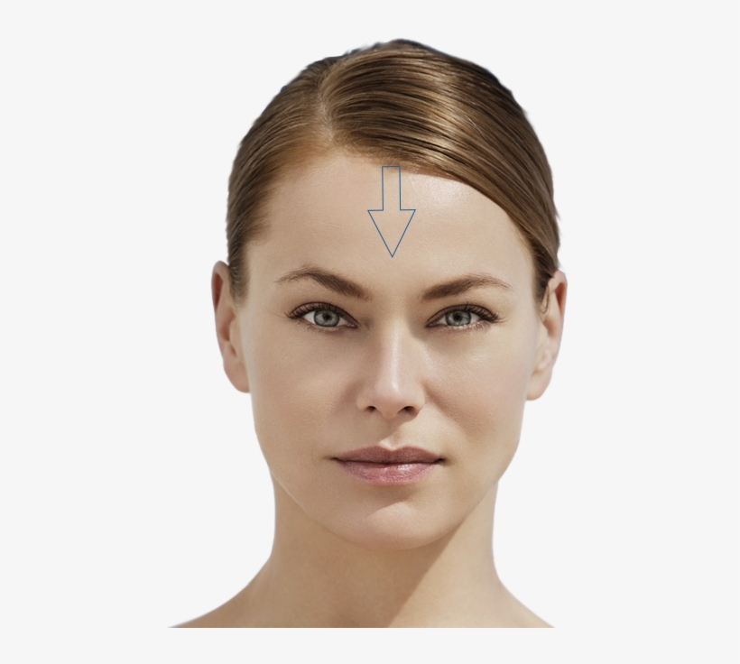 Worry Lines - Headpiece, transparent png #8793045