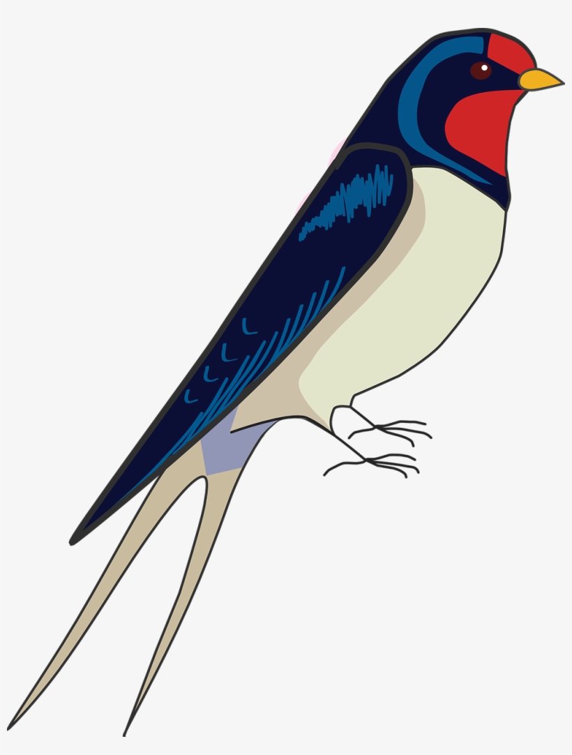 Bird Drawing Beautiful - Easy Drawing Of Swallow, transparent png #8793899