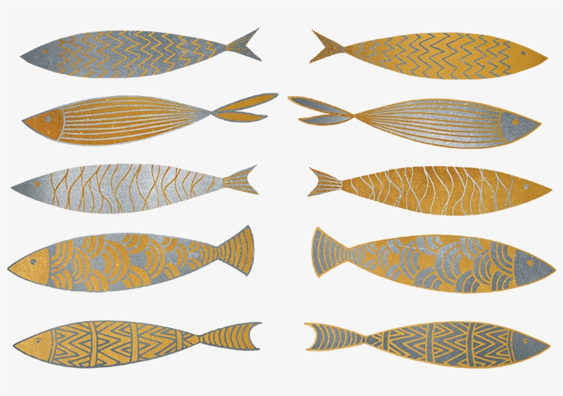 Wall Colour - Fish, transparent png #8794472