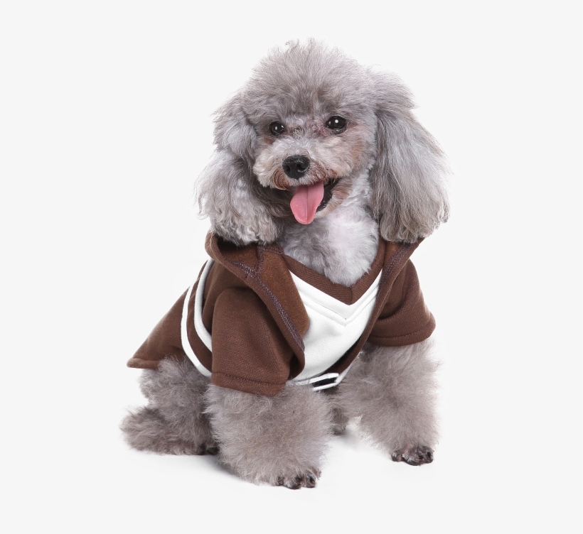 Costume, transparent png #8794558