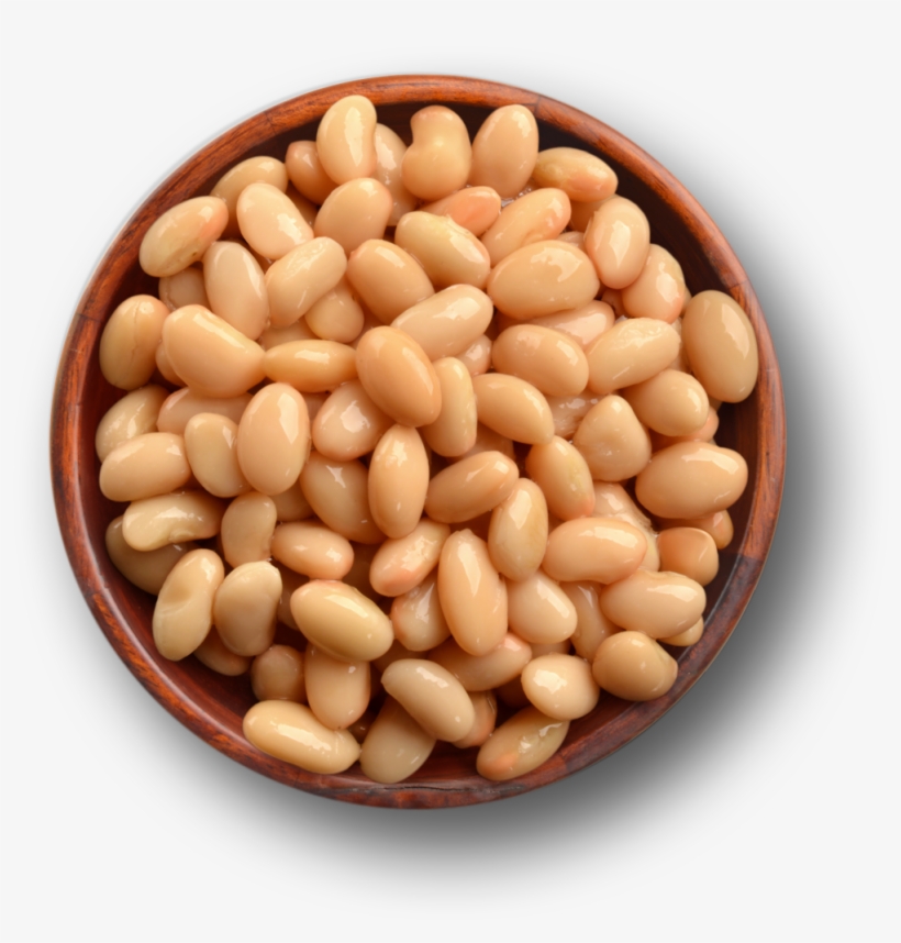Great Northern Beans Green - Great Northern Beans, transparent png #8794651