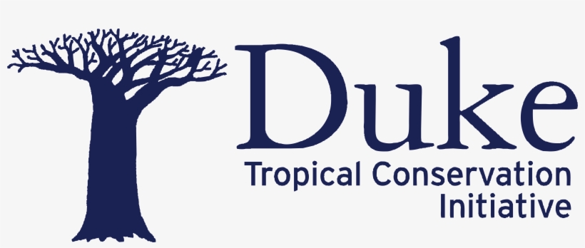 Client - Illustration, transparent png #8796066