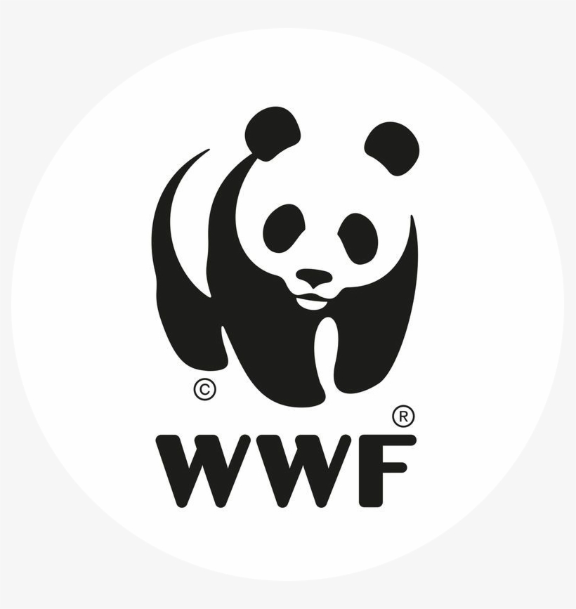 Wwf Logo Beled - Wwf Canada Logo, transparent png #8796205