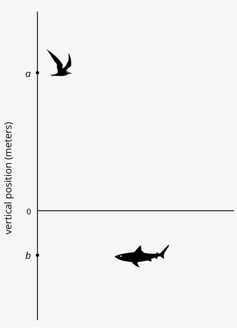 A Vertical Number Line With The Number Zero Indicated - Silhouette, transparent png #8796234