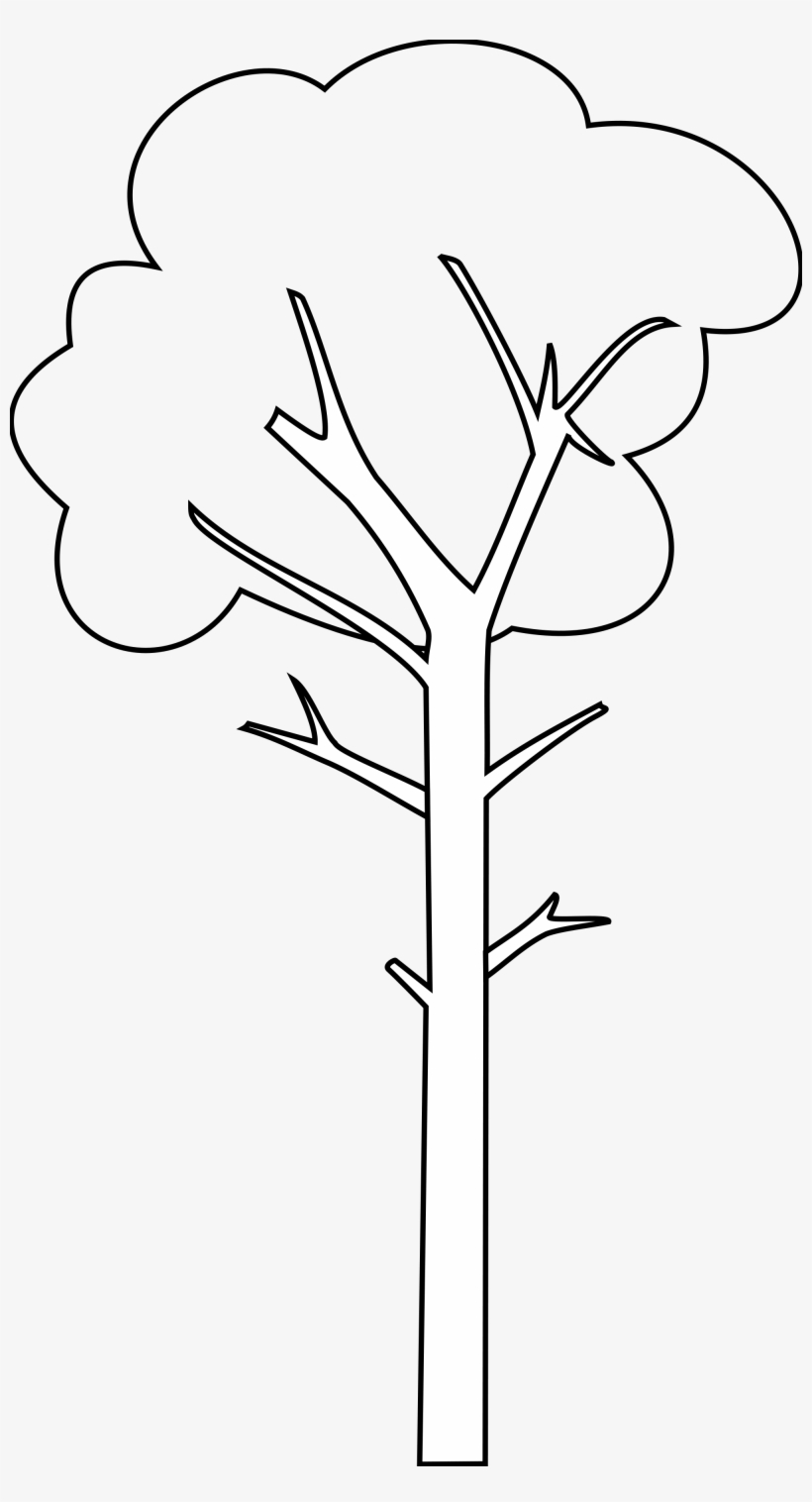 Tall Tree Cartoon Black And White Tall Tree Clipart Black And White Free Transparent Png Download Pngkey