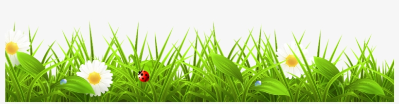 Grass Border Transparent - Fondo De Bosque Animado, transparent png #8797149