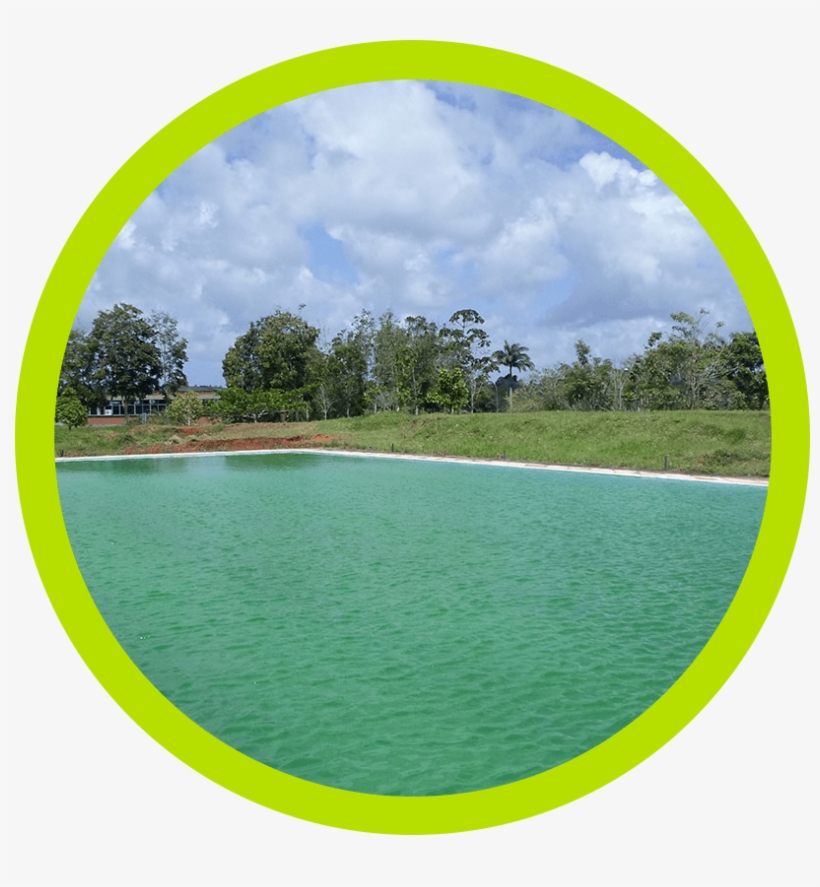 Piscina Verde Circle Border - Stredná Zdravotnícka Škola Nitra, transparent png #8797545