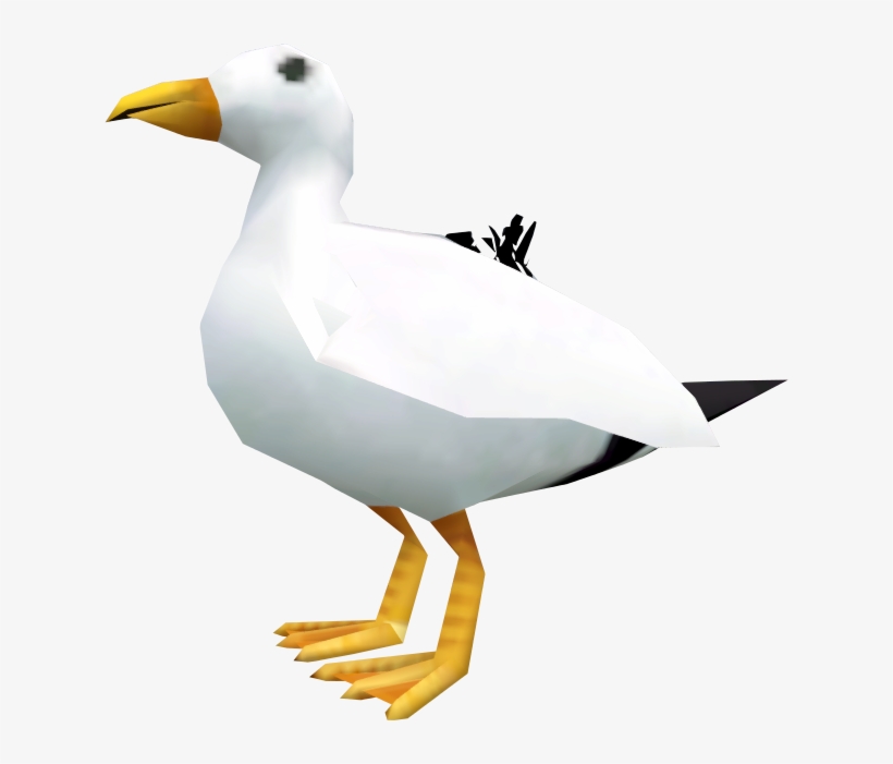 Duck, transparent png #8798202