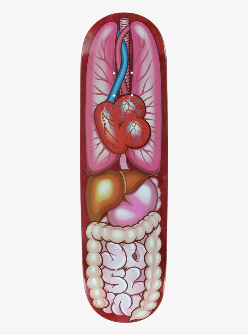 Plan B Skateboards, transparent png #8798422