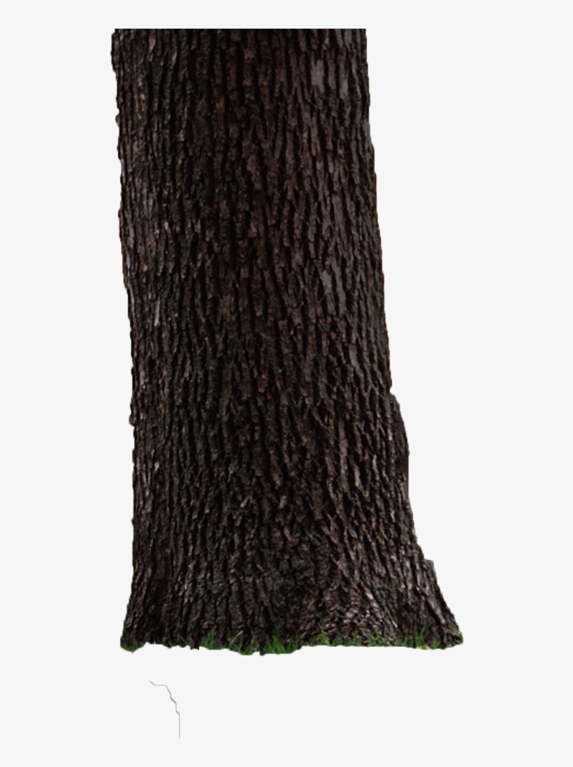 Try Watching This Video On Www - Scarf, transparent png #8798455