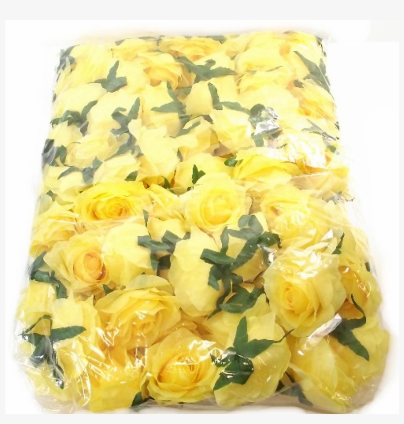 Bulk Buy 100 Heads Of Yellow Roses - Floribunda, transparent png #8799517