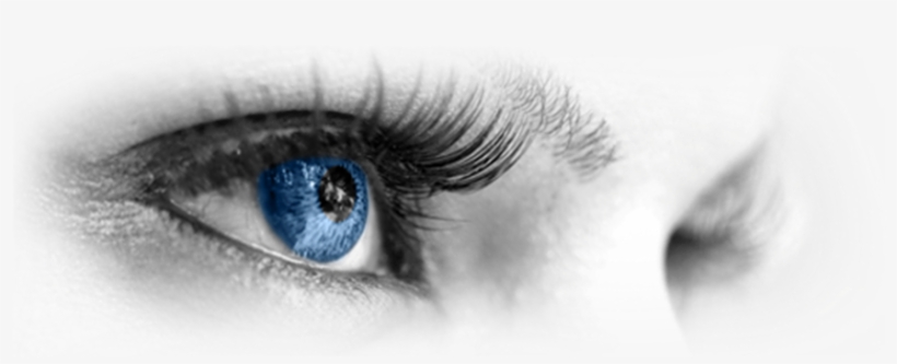 La Vision Imprenditoriale - Write: Write: How To Write, A Best Selling Book In, transparent png #880089