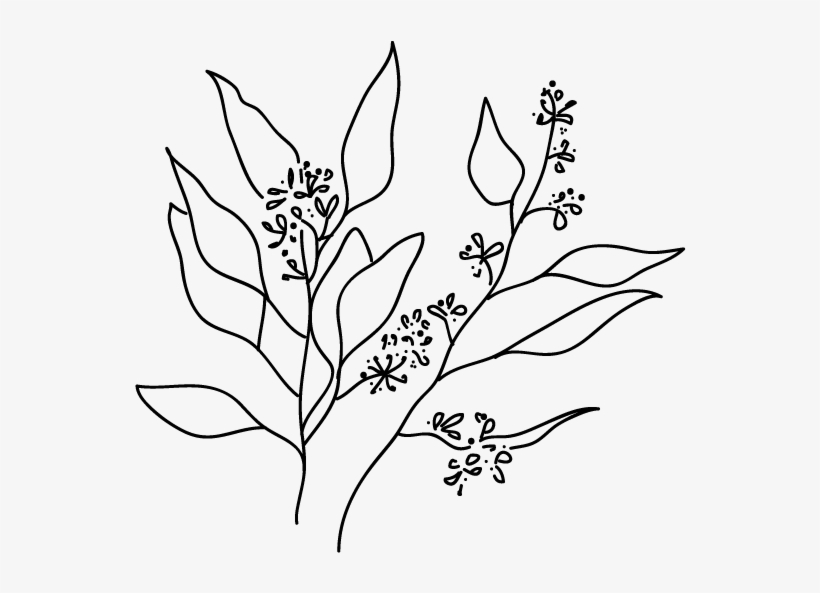 Tumblr Black And White Png, transparent png #880340