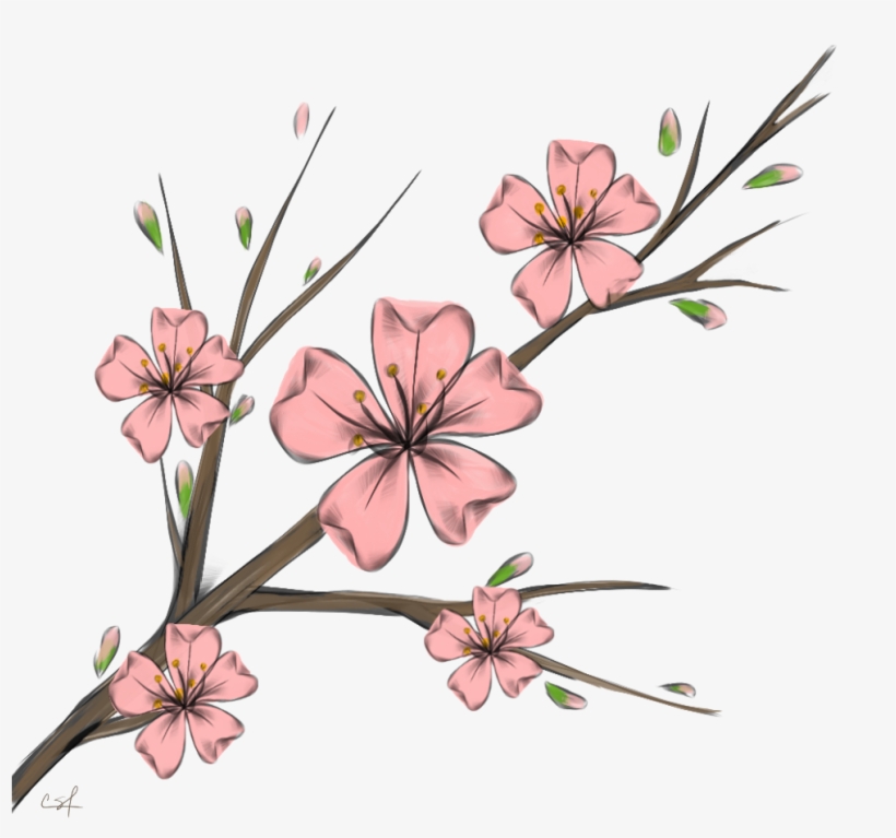 Cherry Blossom Flowers Branshes Freetoedit Banner Black - Flower, transparent png #880531
