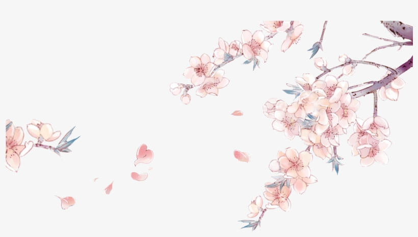 Drawn Cherry Blossom China - Cherry Blossom Flower Anime - Free Transparent  PNG Download - PNGkey