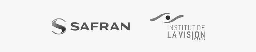 Partners - Calligraphy, transparent png #881054