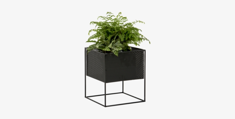 Indoor Planter Box, Metal Planter Boxes, Tall Planters, - Planter Png, transparent png #881234