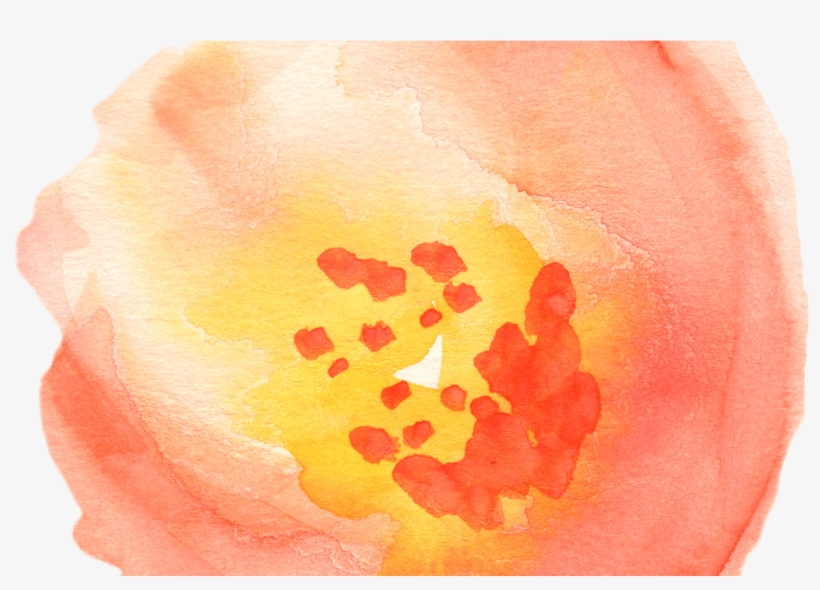 Free Fall Watercolor Floral Clip Art So Pretty Free - Watercolor Clipart Transparent, transparent png #881241