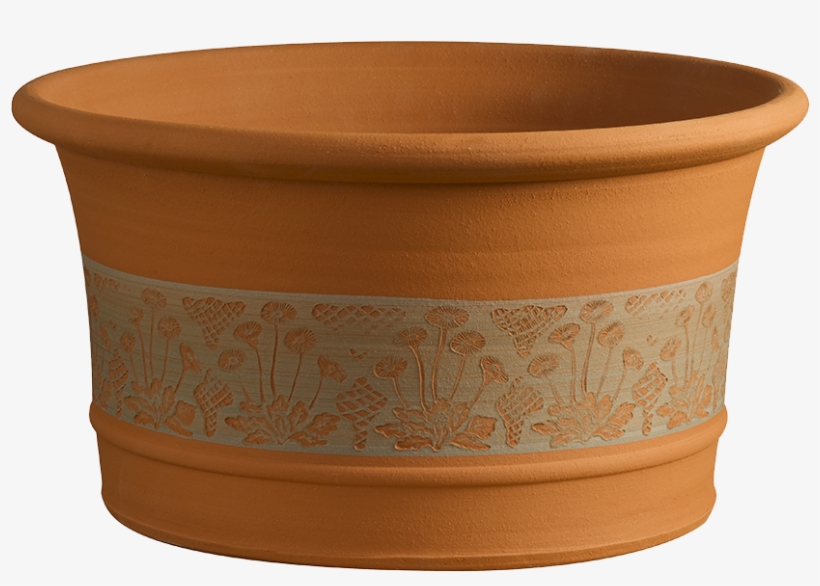 Rhs Daisy Planter - Coffee Table, transparent png #881904