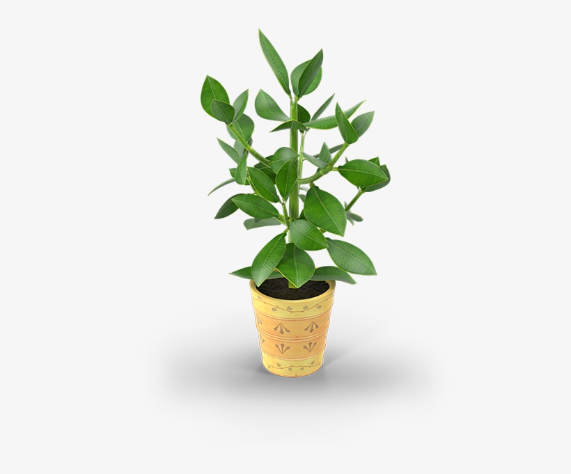 23 Pm 46086 Arbol38 Raster 8/20/2017 - Flowerpot, transparent png #882050