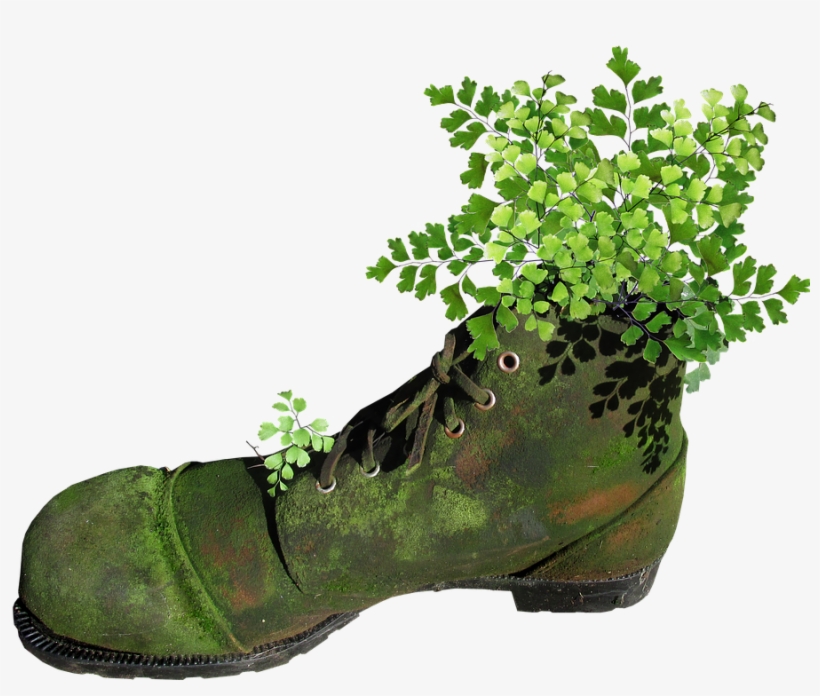 Boot, Old, Mossy, Planter, Fern, Garden, Novelty - Plants, transparent png #882121
