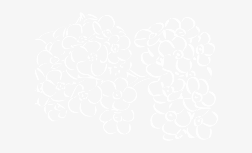 White Outline Flowers Svg Clip Arts 600 X 419 Px, transparent png #882123