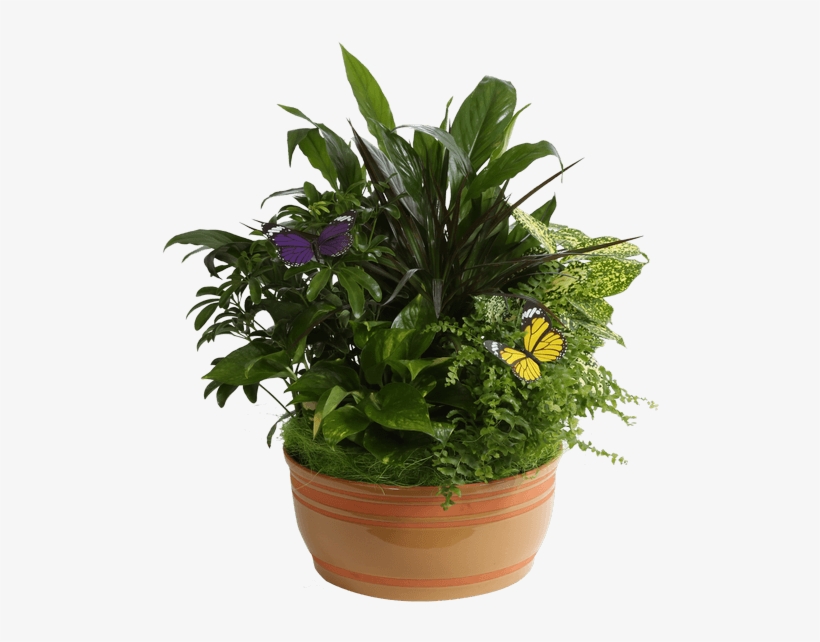 Horizon Planter, 10" Caramel - Garden, transparent png #882220