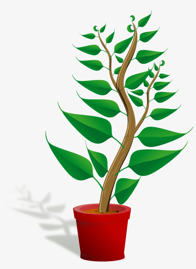 Pot Plant Clipart Planter - Plant Clip Art Png, transparent png #882245