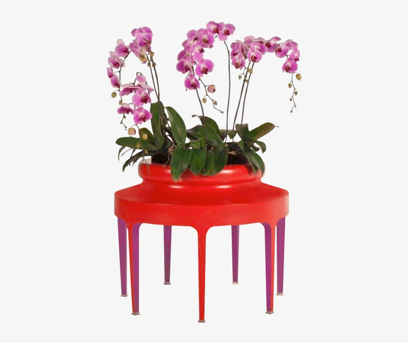 Jarchidee Planter Orchidee Jardiniere - Elle Decoration, transparent png #882452