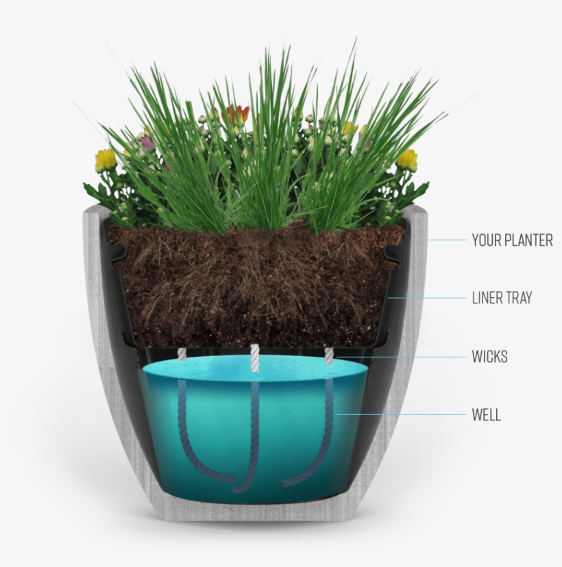 Our Liner Will Convert An Old Fashioned Planter Into - Flowerpot, transparent png #882527