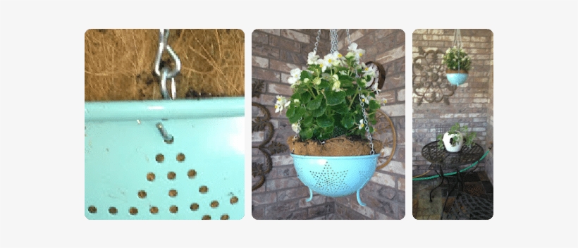 Plants, transparent png #882573