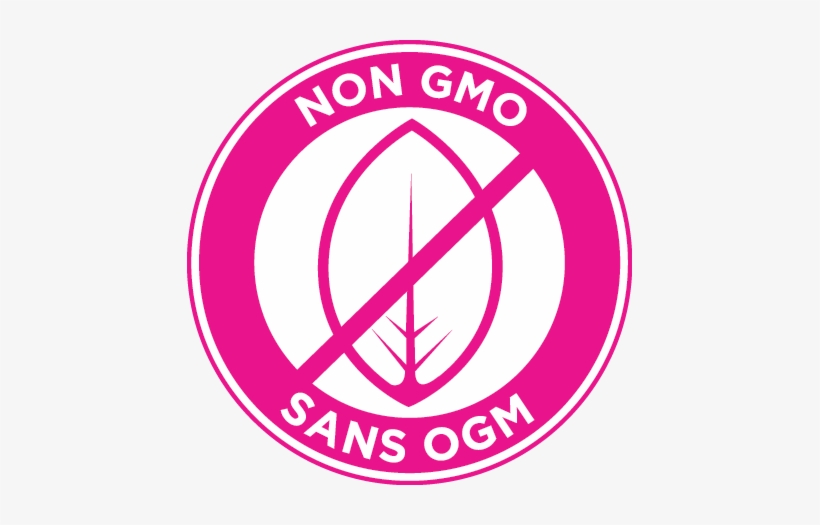 View Larger - Musain Coffee Shop Art Print - Mini By Little Wadoo, transparent png #882649