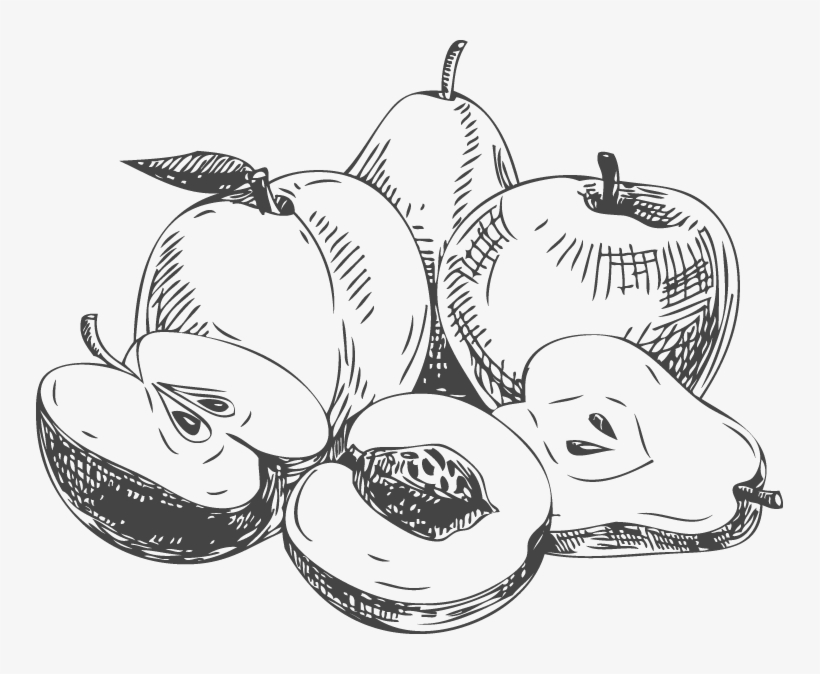 Personal Favorites That Can Help You Live Your Best - Fruits Sketch Png, transparent png #882824