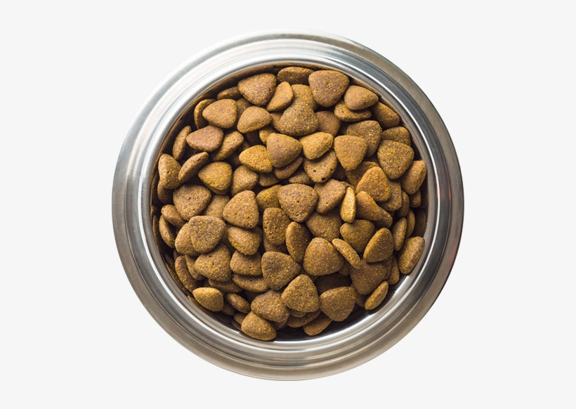 Dog Food, transparent png #883023